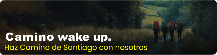 camino de santiago wake up banner