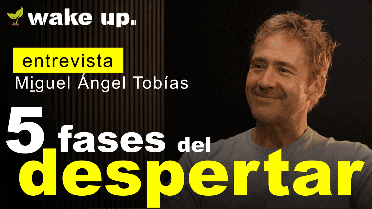 las 5 fases del despertar de la consciencia